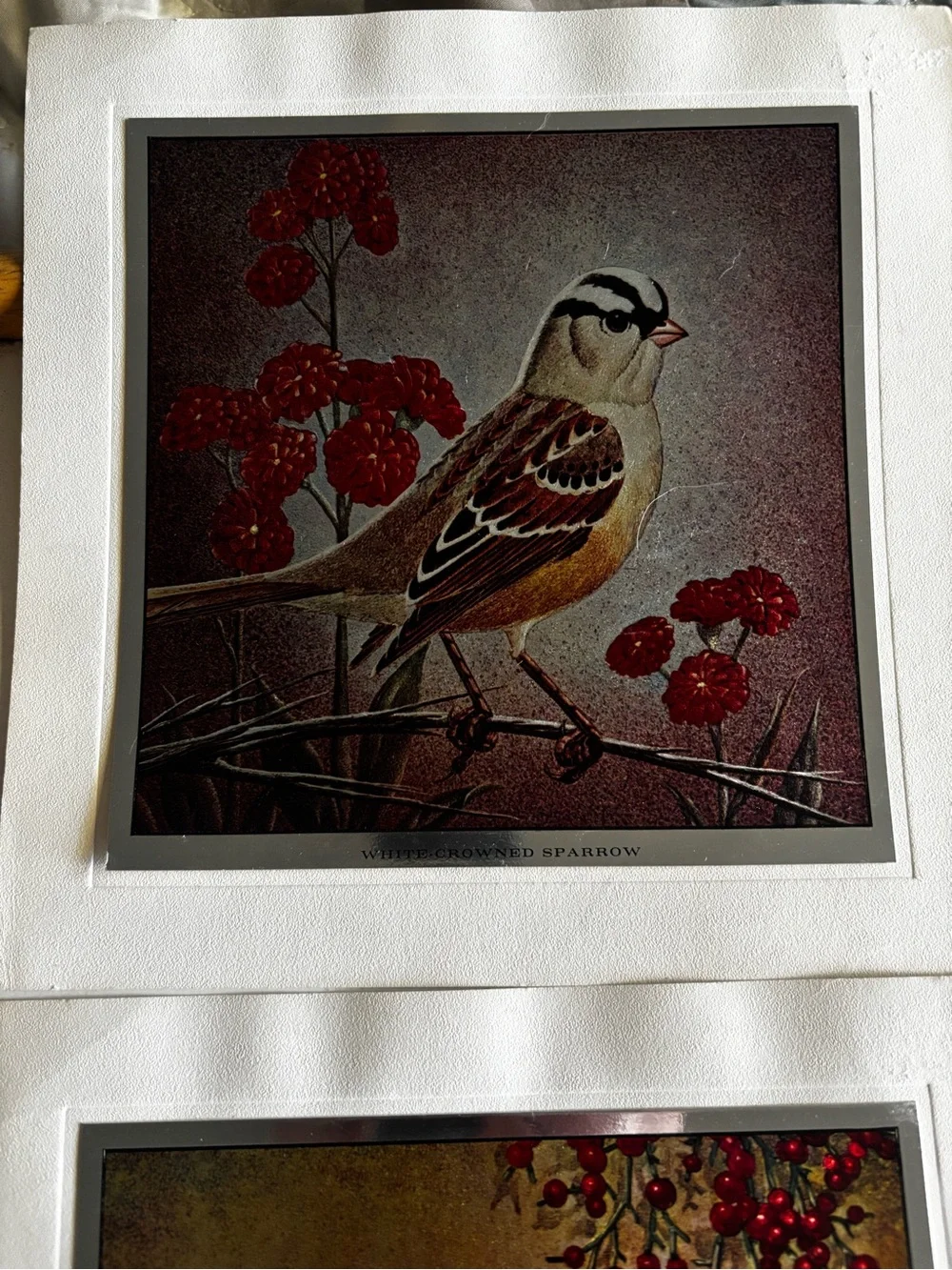 Set of 4 Metallic Prints of Birds Mounted on Backing - 7